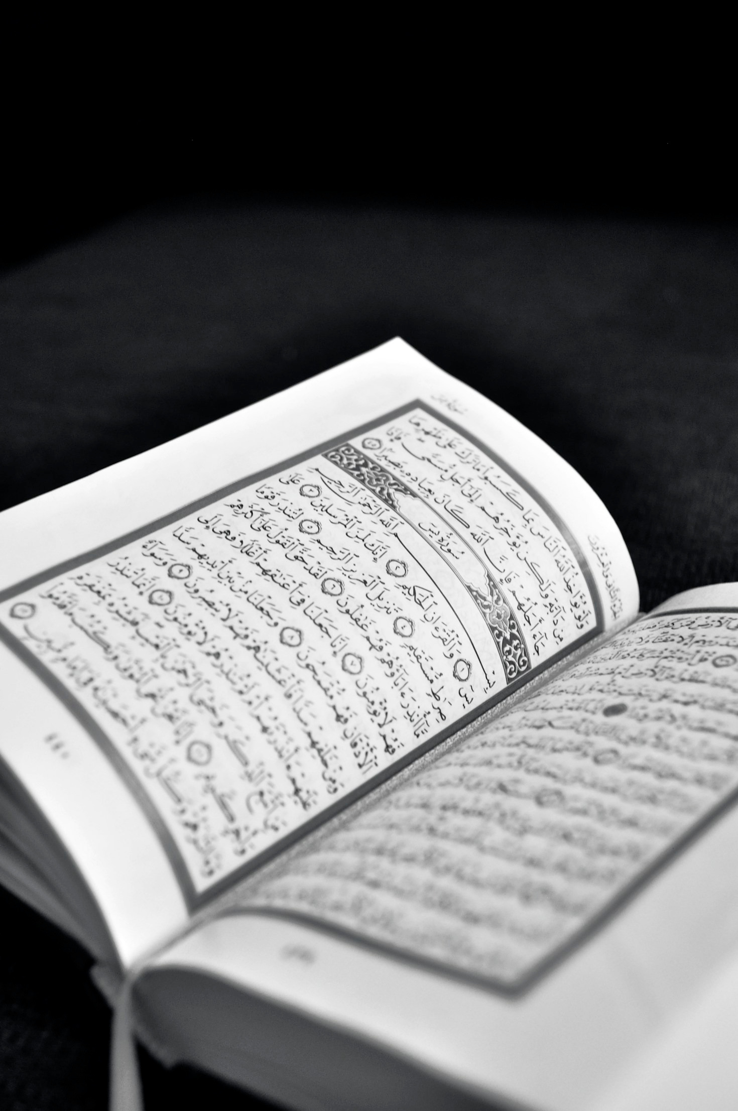 Finding Meaning In Every Single Chapter